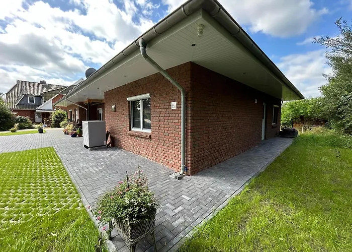 Haxloh 9 Daire Fintel